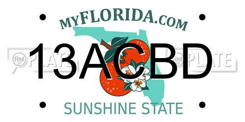 13ACBD Florida License Plate