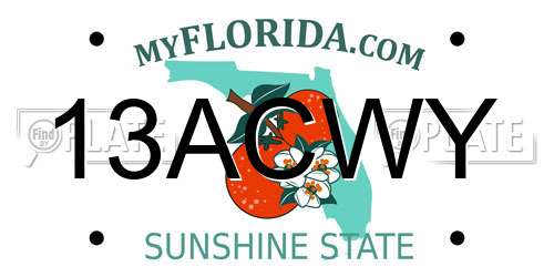 13ACWY Florida License Plate
