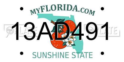 13AD491 Florida License Plate