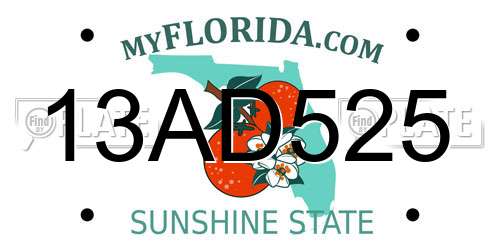 13AD525 Florida License Plate