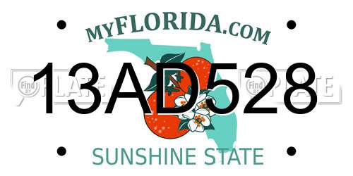 13AD528 Florida License Plate