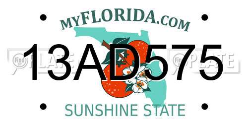 13AD575 Florida License Plate