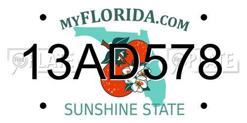 13AD578 Florida License Plate