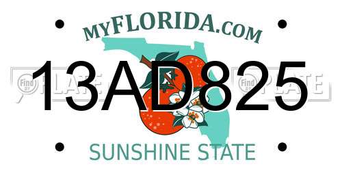 13AD825 Florida License Plate