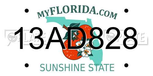 13AD828 Florida License Plate