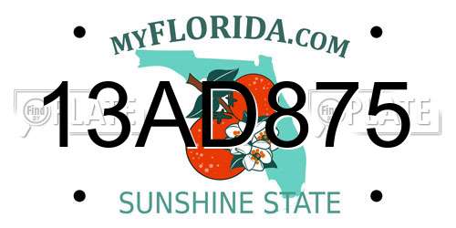 13AD875 Florida License Plate