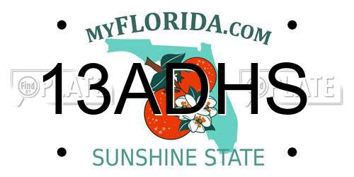 13ADHS Florida License Plate