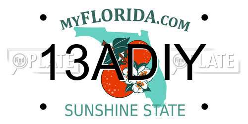 13ADIY Florida License Plate