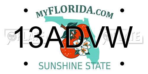 13ADVW Florida License Plate