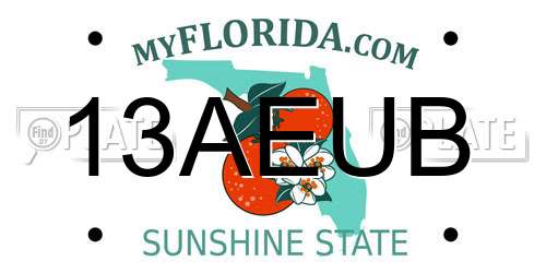 13AEUB Florida License Plate