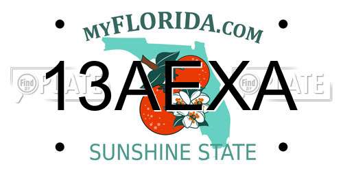 13AEXA Florida License Plate