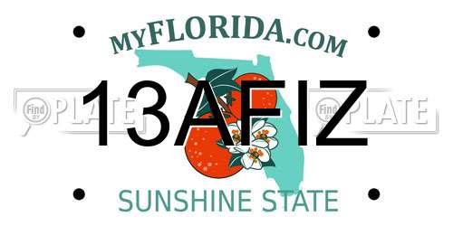 13AFIZ Florida License Plate
