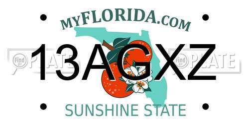 13AGXZ Florida License Plate