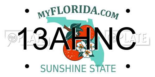 13AHNC Florida License Plate