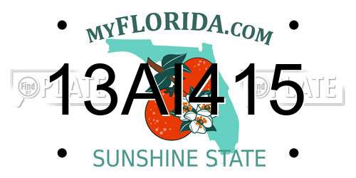 13AI415 Florida License Plate