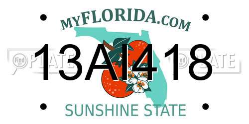 13AI418 Florida License Plate
