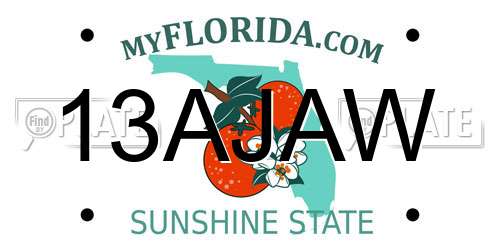 13AJAW Florida License Plate