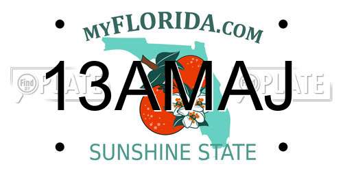 13AMAJ Florida License Plate