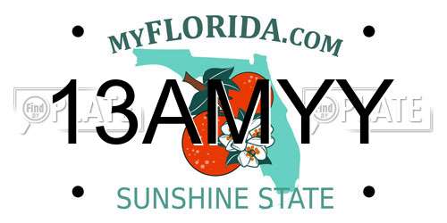 13AMYY Florida License Plate