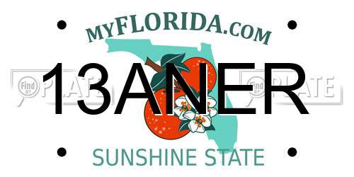 13ANER Florida License Plate