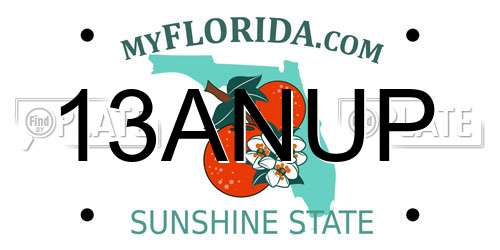 13ANUP Florida License Plate