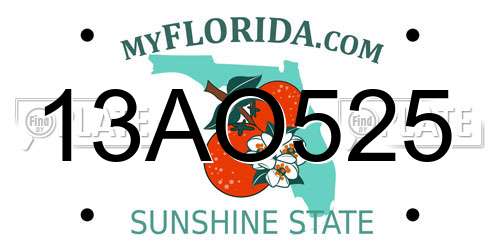 13AO525 Florida License Plate