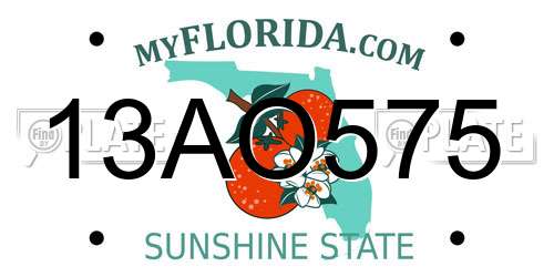 13AO575 Florida License Plate