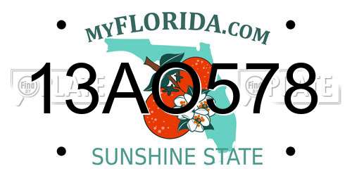 13AO578 Florida License Plate