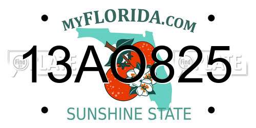 13AO825 Florida License Plate