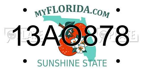 13AO878 Florida License Plate