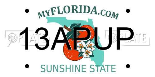 13APUP Florida License Plate