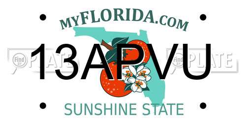 13APVU Florida License Plate