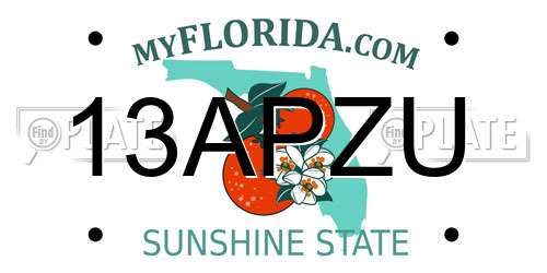 13APZU Florida License Plate