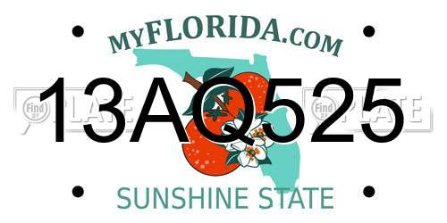 13AQ525 Florida License Plate