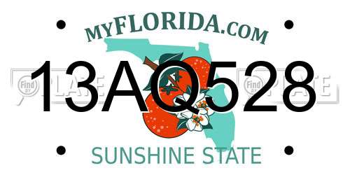 13AQ528 Florida License Plate