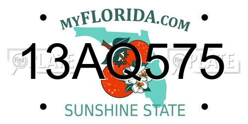 13AQ575 Florida License Plate