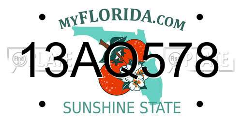 13AQ578 Florida License Plate