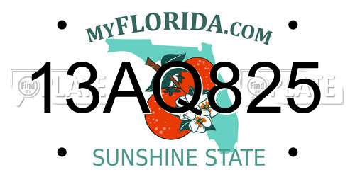 13AQ825 Florida License Plate