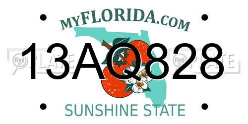 13AQ828 Florida License Plate