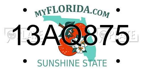 13AQ875 Florida License Plate