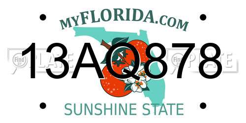 13AQ878 Florida License Plate