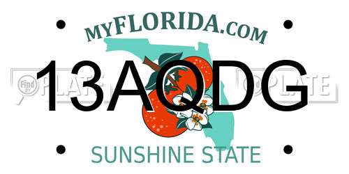 13AQDG Florida License Plate