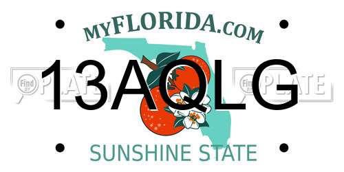 13AQLG Florida License Plate