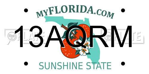 13AQRM Florida License Plate
