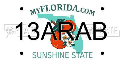 13ARAB Florida License Plate