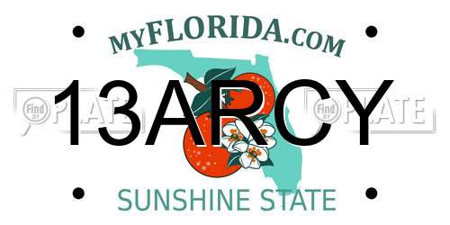 13ARCY Florida License Plate