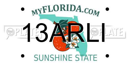 13ARLI Florida License Plate