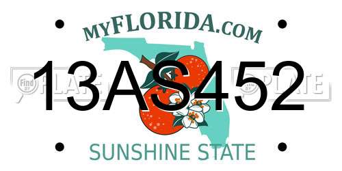 13AS452 Florida License Plate