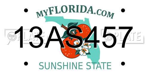 13AS457 Florida License Plate