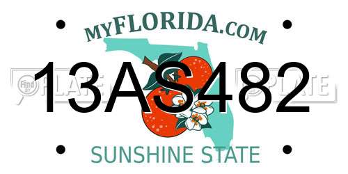 13AS482 Florida License Plate